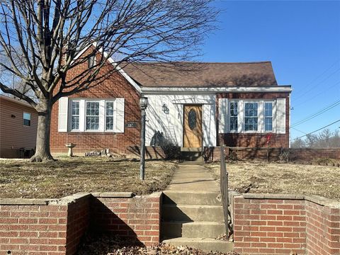 207 8th Street Crystal City MO 63019