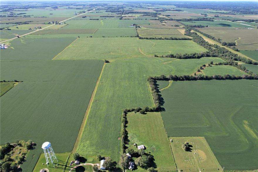 RARE FIND! Less than a mile outside of Clarence, this 176.75-acre INCOME PRODUCING tract is over 90% tillable. 163 acres of highly productive crop ground currently rotated between organic corn/beans & paying over $36,000 yearly until 2025.  County road frontage on two sides and less than ¼ mile off Hwy. 151. Electric, public water, & public sewer at county road. This one won’t last long, call Ashley at Racks & Tracts today to schedule your private showing!