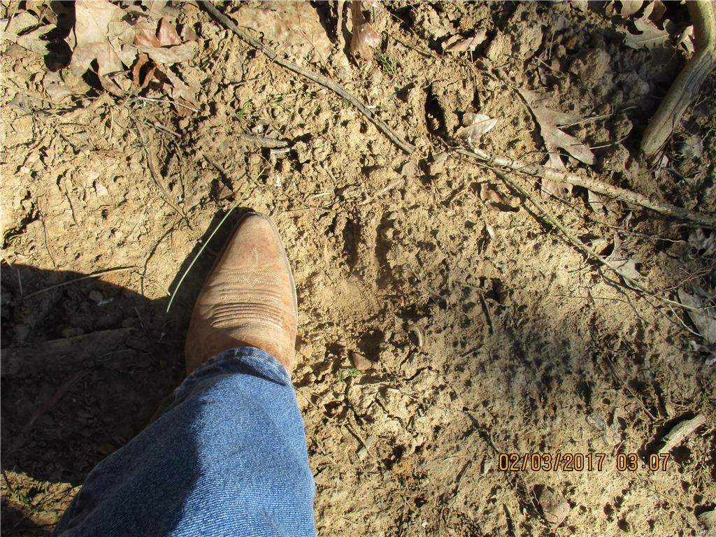 August Chouteau Lt 4 Resub - Farm