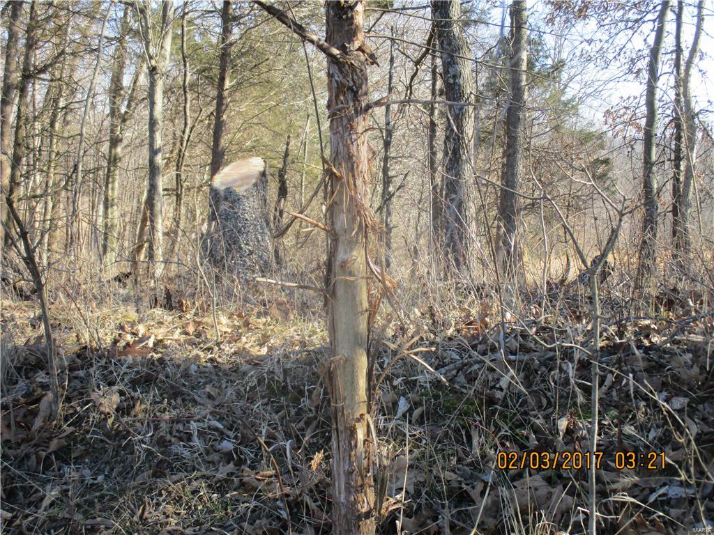 August Chouteau Lt 4 Resub - Farm