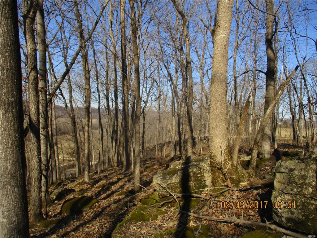 August Chouteau Lt 4 Resub - Farm