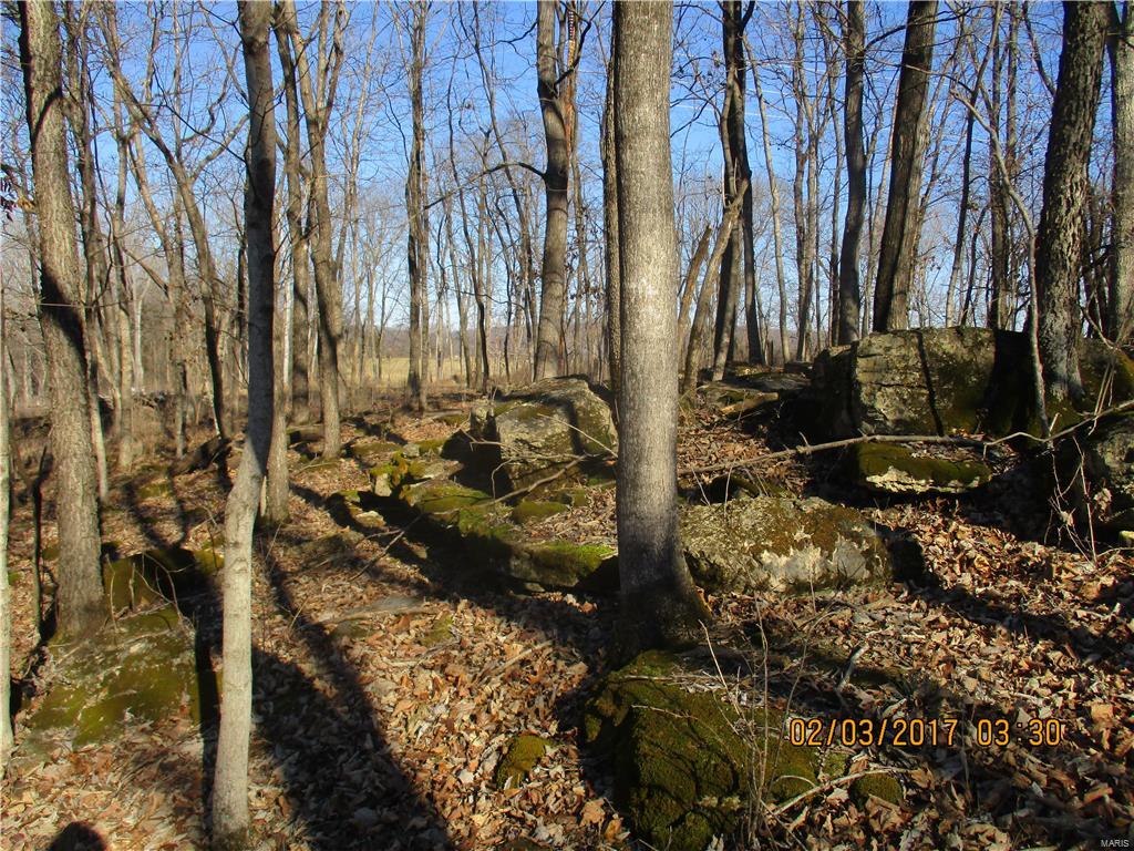 August Chouteau Lt 4 Resub - Farm