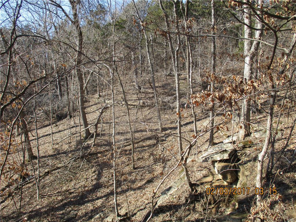 August Chouteau Lt 4 Resub - Farm