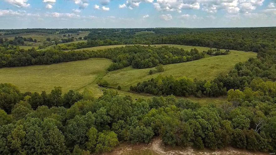Wow! This stunning 42 (+/-) acres is sure to impress! 
This gorgeous tract is the perfect blend of pasture and woods! 
Property features include a wet weather creek, natural spring, and plentiful wildlife!
Perfect for hunting WhiteTail Deer, Big Tom Turkeys, Hiking, Trail Riding, and anything else an outdoorsman could dream of! 
Would also make the perfect setting to build your private homestead! 
Call today for an exclusive tour of this Ozark paradise!