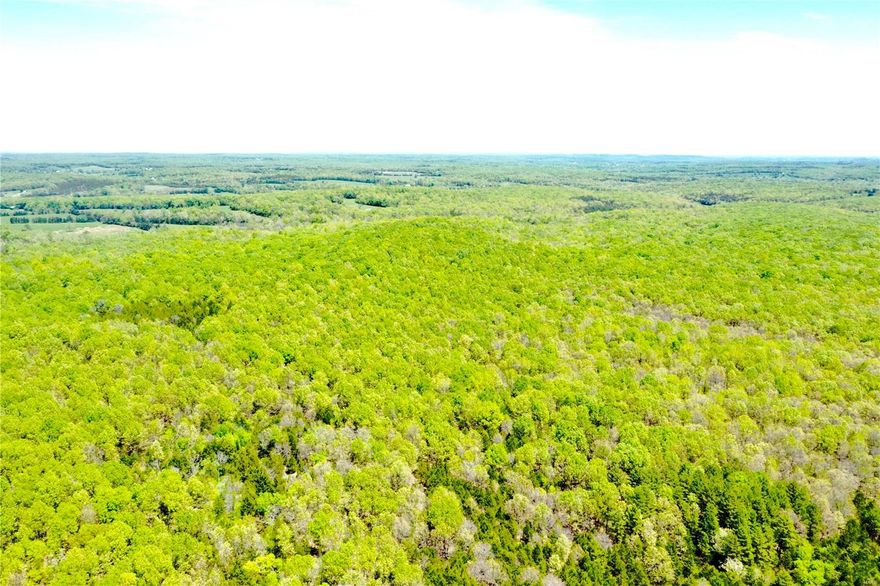 Hunters paradise! This excellent piece of property is located in Washington County and just a short drive from many State Parks. Property has some nice deer and turkey. Johnston Shut-ins, Elephant Rocks, Huzzah Resort, Bass Resort, and tons of rivers and creeks are close by. Property has many trails throughout and a spring and creek as well. Property has great access off of paved county road. Have you been looking for a weekend retreat or a place to build a new home? If so, this is the property for you. Call today to set up a private showing. Approximately another 103 acres is available to the east.