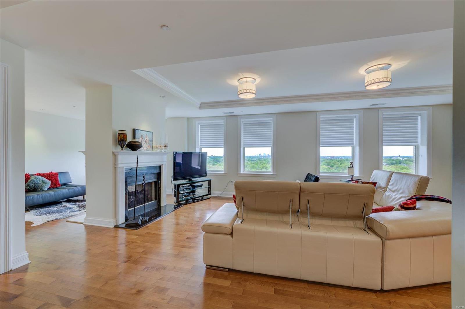 Residences at the Park Plaza - Residential