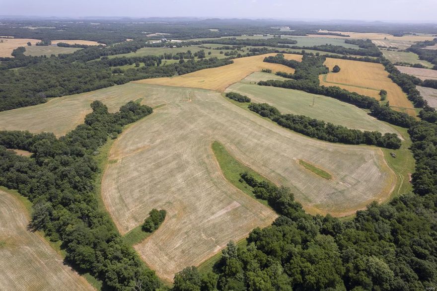 Prime combo farm 371 ac of diverse habitat; it’s not very common to have an opportunity to buy a property of this size in this area! This tract is located near Whiteside, only 2 mi. from Hwy 61 in Northern Lincoln Co. Well balanced combo property offers 204 ac of tillable planted in corn & wheat & cash rented @ $150/ac or $30,600/yr. In addition to all the food on this farm, it has excellent cover w/ rolling ridges & hills of timbered ditches & hardwood timber for bedding areas & roosting sites for turkeys. A creek runs through the property along the north side providing year round water for wildlife. Multiple food plot areas for additional food to hunt the big bucks that the area is known for. Deer & turkey population  is dense, making it a hunter’s paradise. The property is large enough to hunt multiple hunters w/out disturbing each other. Great possibility to invest in a farm w/ income that you can enjoy by hunting, camping, farming or just spending time outdoors w/ the family.