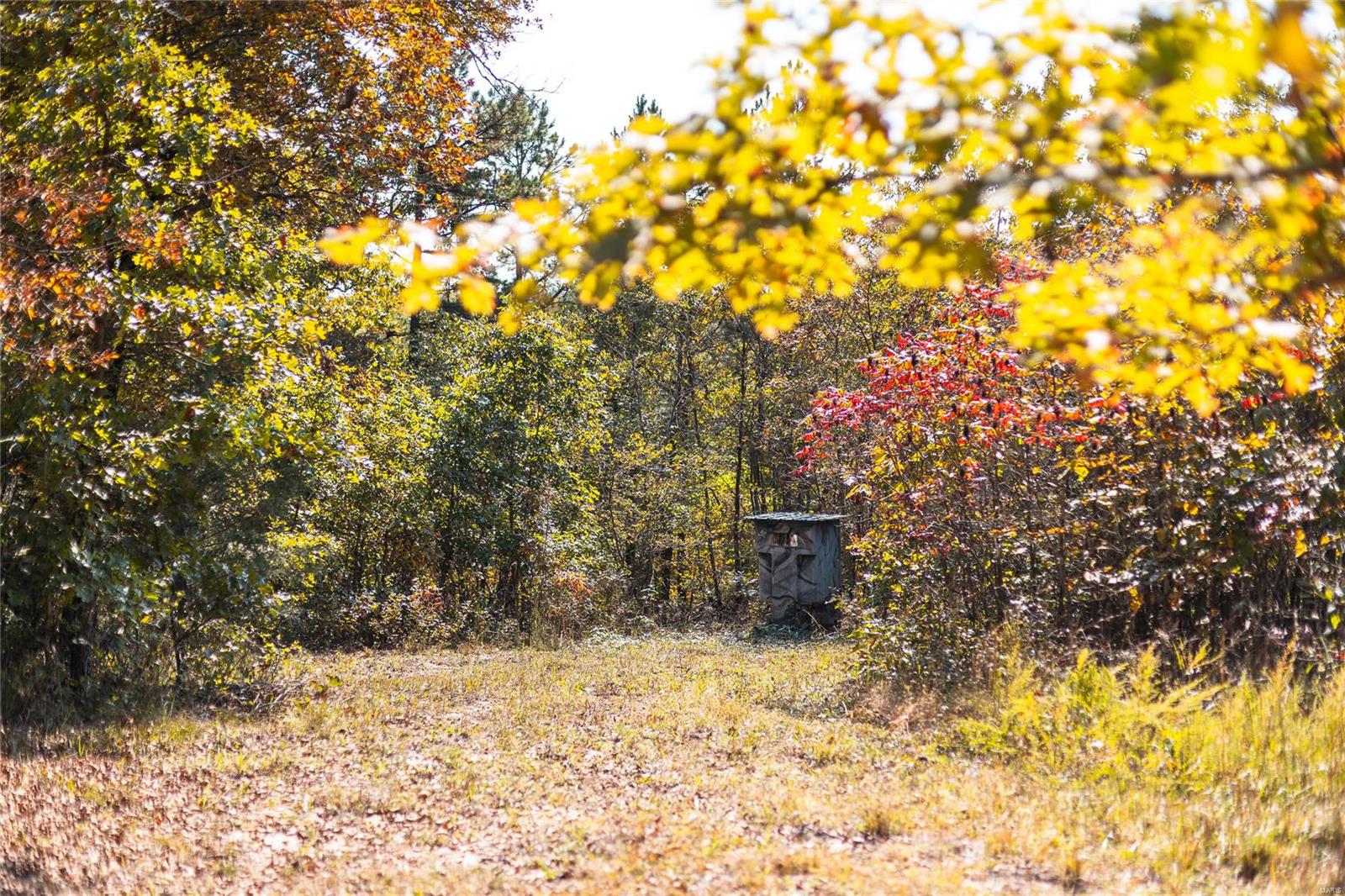 n/s - Farm