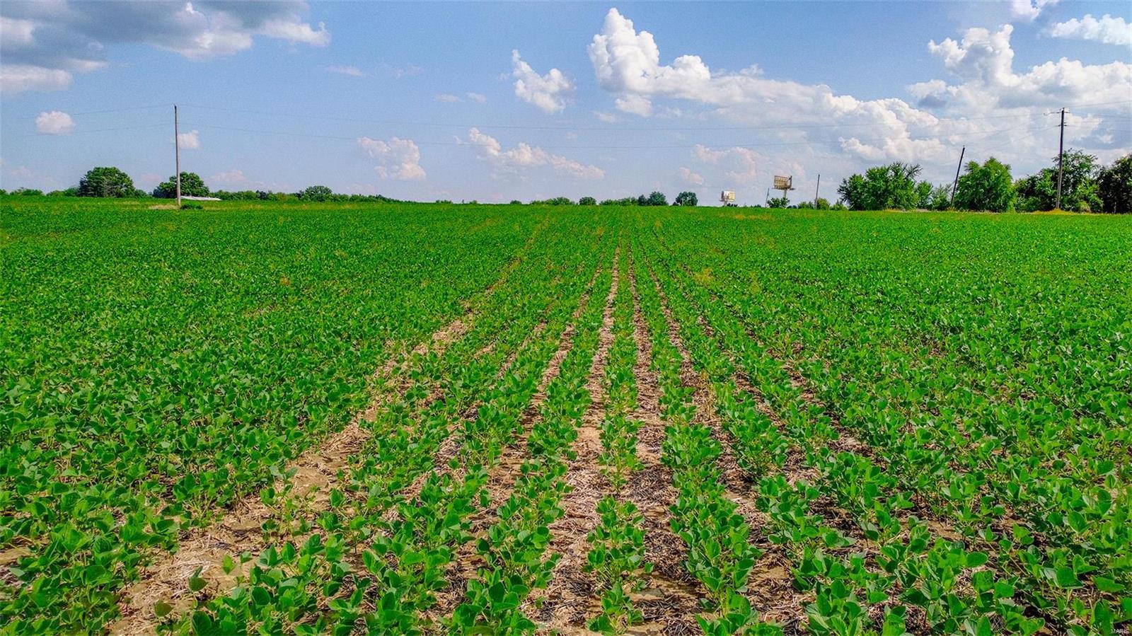 Jonesburg, Missouri 63351, United States, ,Commercial,Active,51715