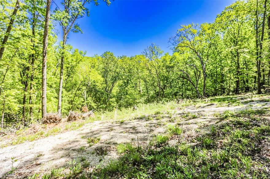 Privacy and Seclusion, This 4 acre lot is ready for your dream home to be built. Offering Paved road for access and High Speed internet, make this lot Ideal for your custom home build. Seller does have approved Home plans and Septic plans with the city. Lot has been partially cleared with a driveway and home site pushed in. Property would be ideal for a Walk-out basement or Atrium Ranch. Call today before this amazing lot disappears