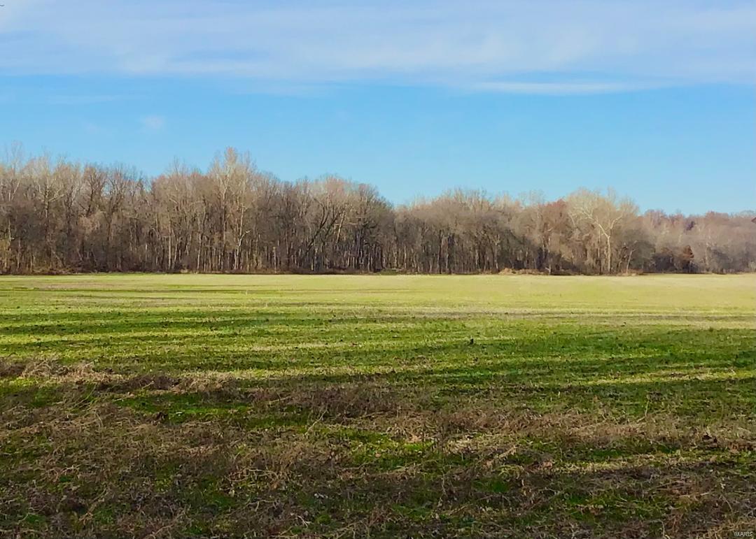 Courtois Tract - Farm