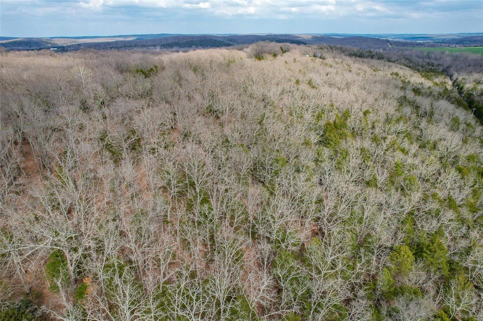 RURAL LACLEDE COUNTY - Land