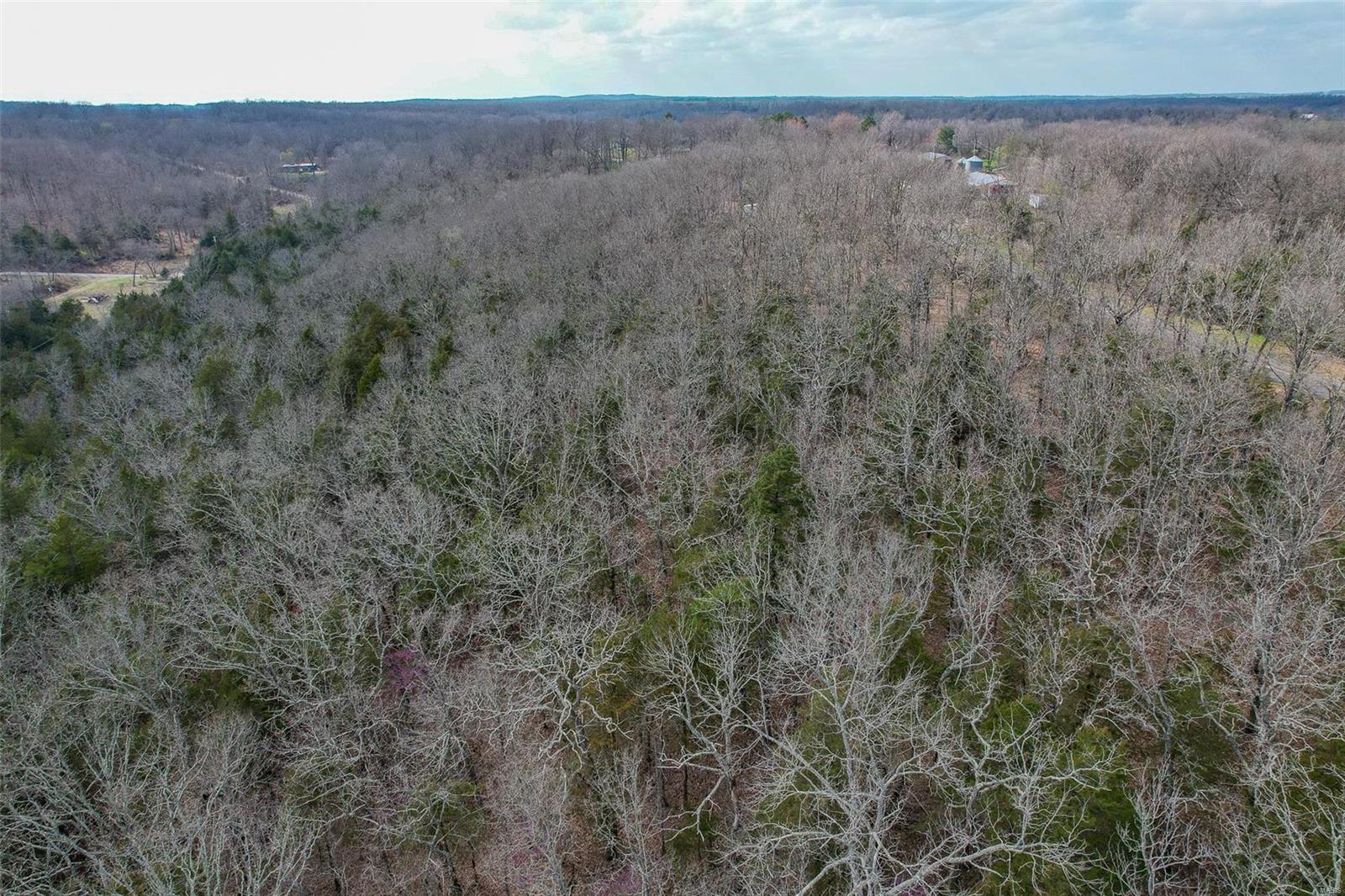 RURAL LACLEDE COUNTY - Land