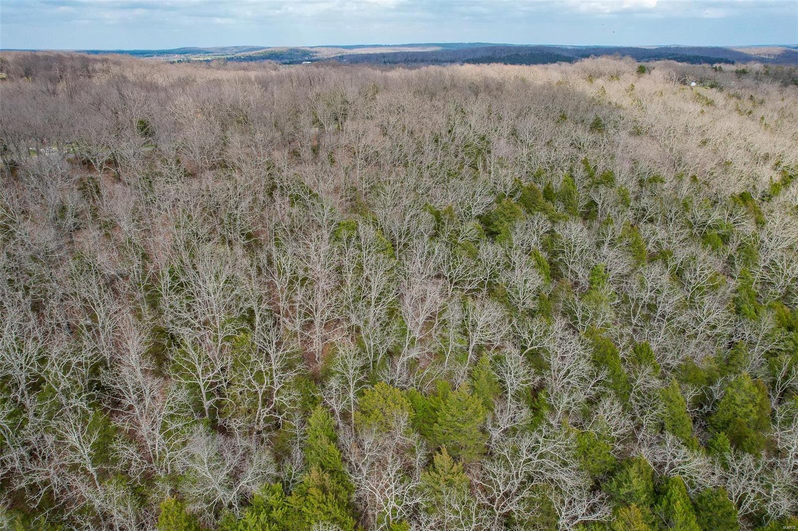 RURAL LACLEDE COUNTY - Land