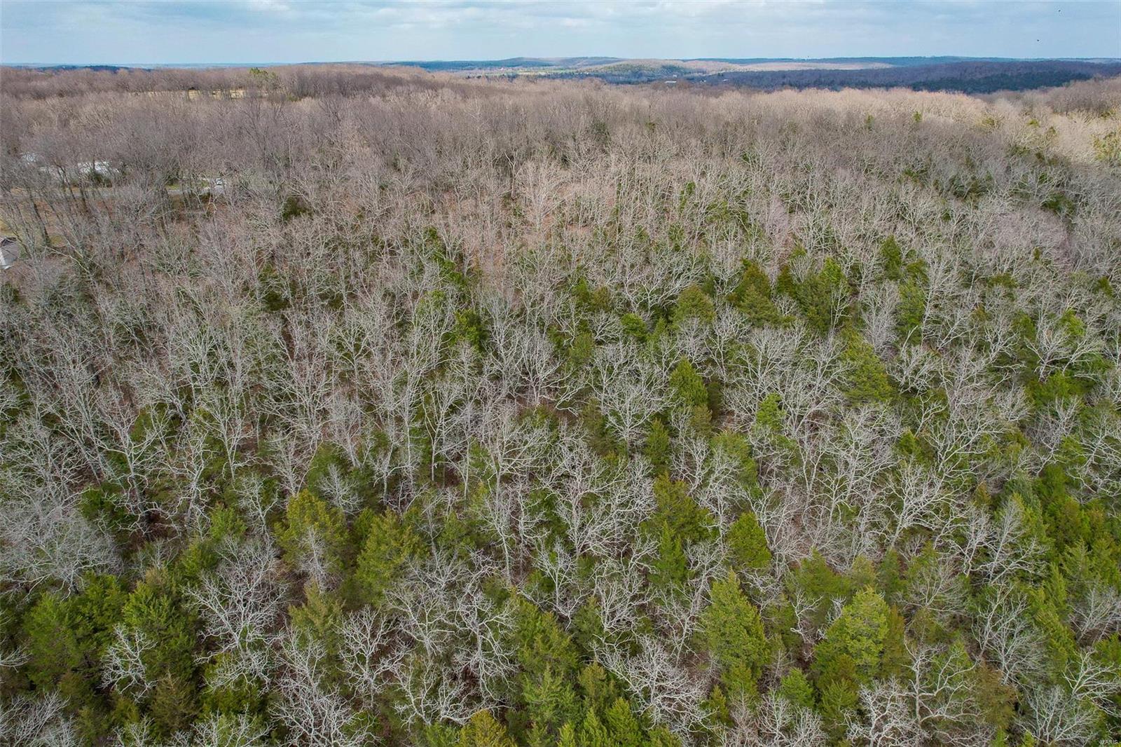 RURAL LACLEDE COUNTY - Land