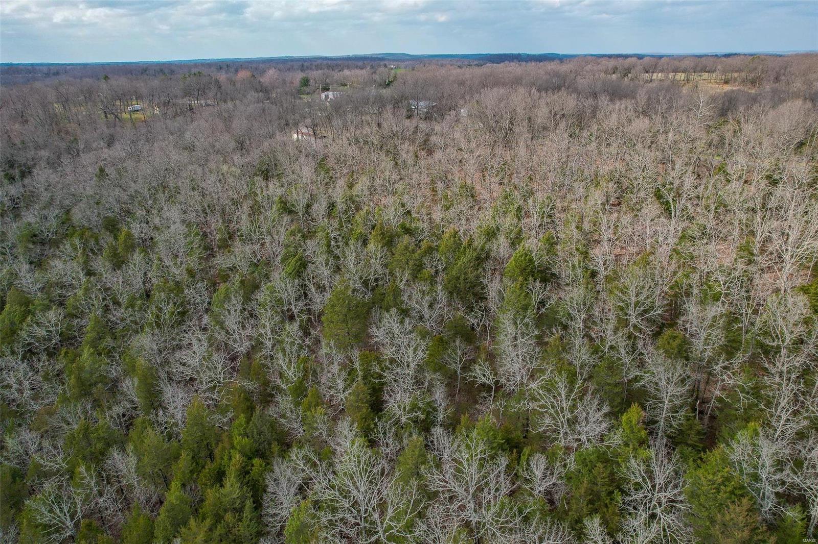 RURAL LACLEDE COUNTY - Land