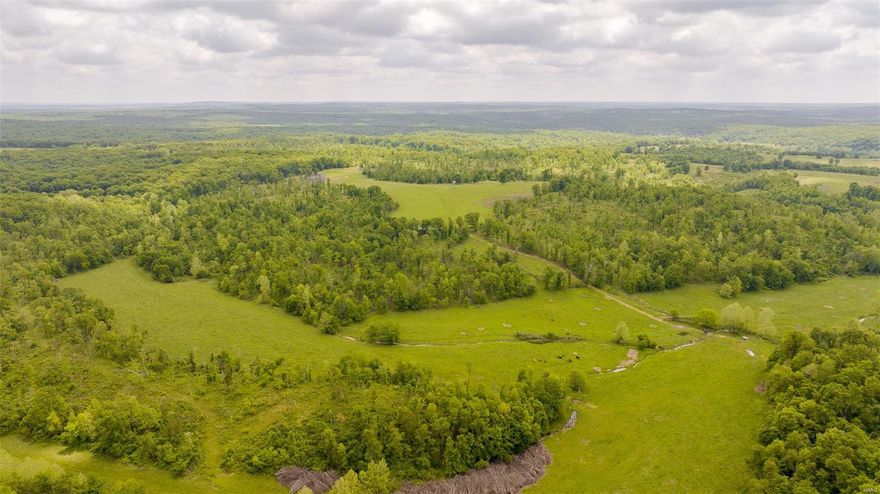 Nestled in the heart of Steelville, Missouri, this expansive 363-acre property offers a unique blend of beautiful woods and open pasture. Having undergone selective logging within the last three years, the land is primed for new growth and development.
Wildlife enthusiasts and hunters will be thrilled by the high traffic area for turkey, deer, and monster bucks, making this a premier hunting destination. 
The diverse landscape provides 5 serene ponds, a natural spring, and multiple picturesque building sites, perfect for constructing your dream home or establishing a family homestead.
Whether you envision farming, hunting, or simply enjoying the serene beauty of the Missouri countryside, this property offers endless possibilities. 
Embrace the opportunity to own a piece of Steelville's natural splendor!