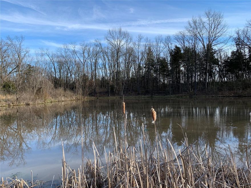 This beautiful acreage offers lots of open ground with some woods and pond. Ideal for building, farming, recreation or weekend get away! Great location just minutes from I-70 off North Stracks Church Rd. Warrenton R-III School District.