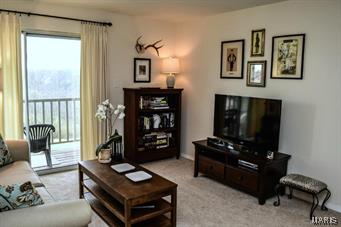 Treetop Condo Ph 2 - Residential