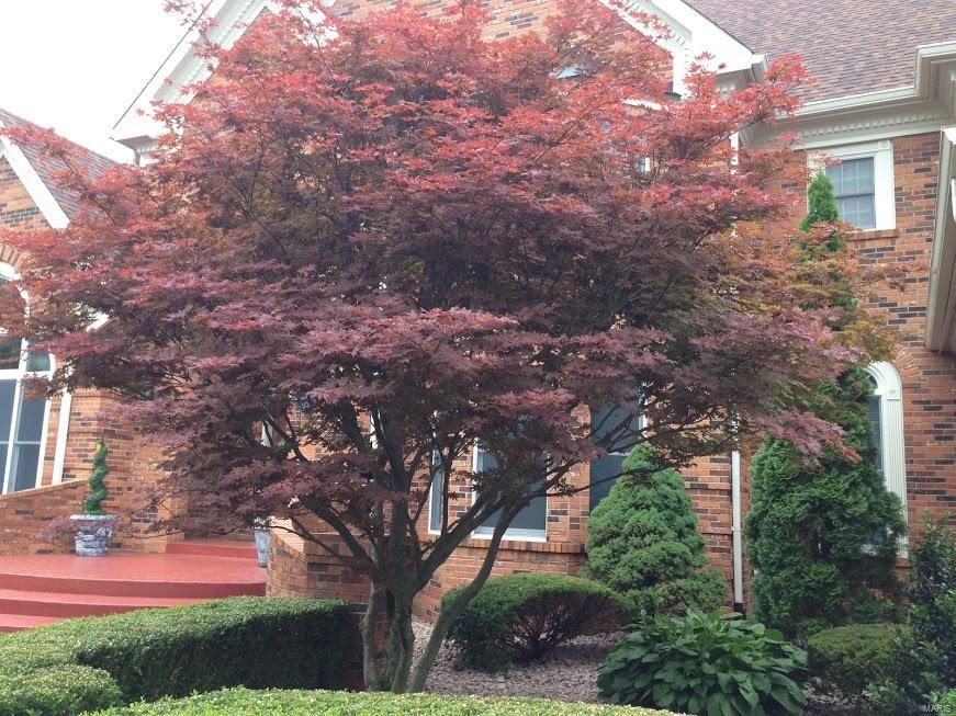 The Hamptons - Residential