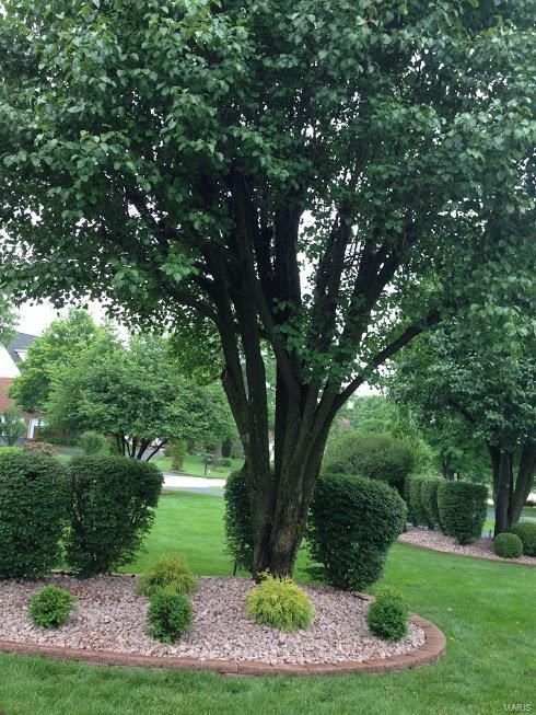 The Hamptons - Residential