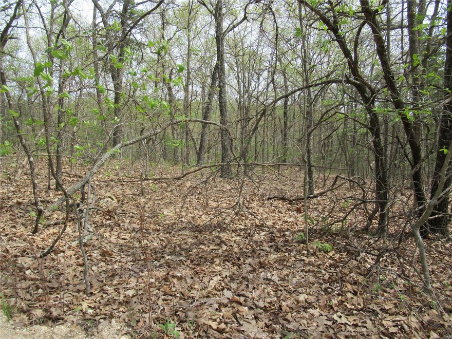 A1020  10 Wooded acres with mature oaks and other trees all provide excellent opportunities for hiking, camping and hunting. Access to 28 ACRE LAKE BAJA is close by. It provides fishing, hunting, canoeing, rowing and lakeside picnic opportunities. Inviting sites for building a cabin or bringing your camping trailer or fifth wheel. ELECTRIC NEARBY. There are minimum restrictions. Located just 65 scenic miles from St Louis in rural Washington County, MO. Two gates add security to your new retreat. Property owners have at least 10 acres which give you the privacy you desire when getting out of the city. This community is mostly owned by weekenders.  Two full time residents. It is extremely private and clean. NO DRIVEBYS AS YOU MUST HAVE KEY TO ENTER. When entering the gate, it must be closed and locked at all times. No logging allowed. Assessments $225/yr. due 1/1. Trolling motors only on lake.