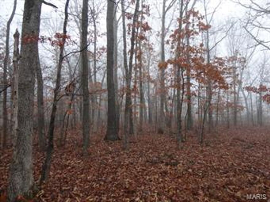 25 Acres of Vacant Land less than 8 miles from town!! This property is only a few miles from the Meramec River, and the Short Bend access. Indian Trail Conservation area is close by with hundreds of acres available to hunt on. Land is level to gently rolling, and several great locations to build your dream home.