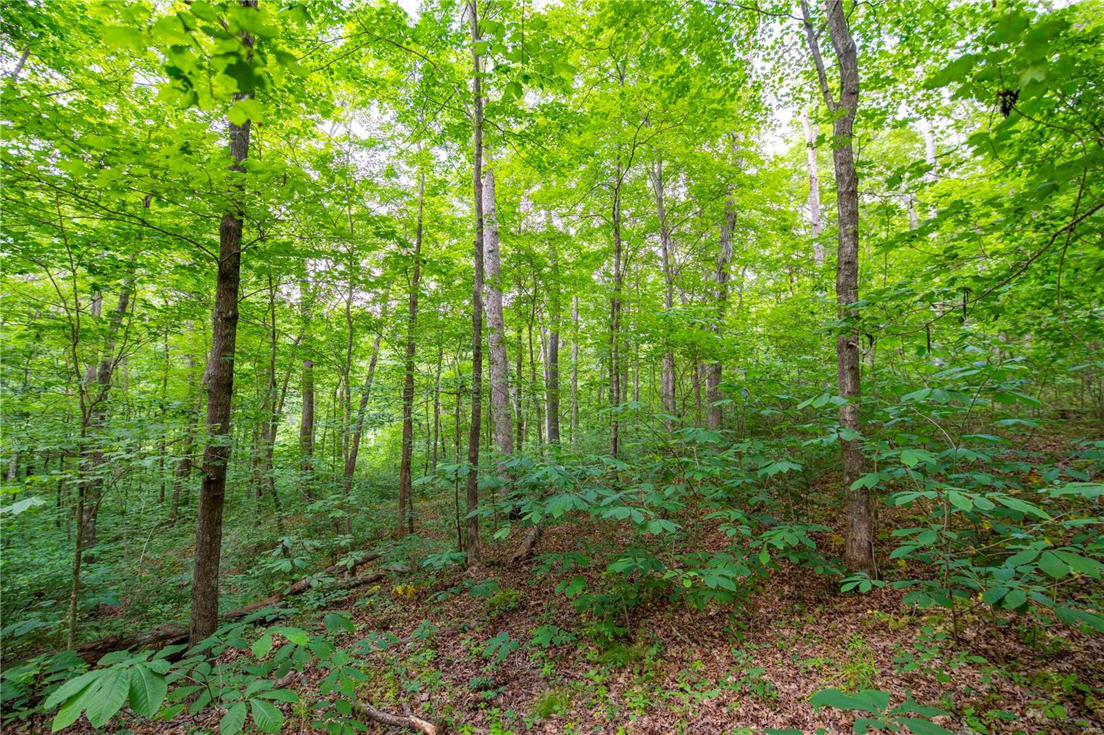 Heritage Meadows - Farm