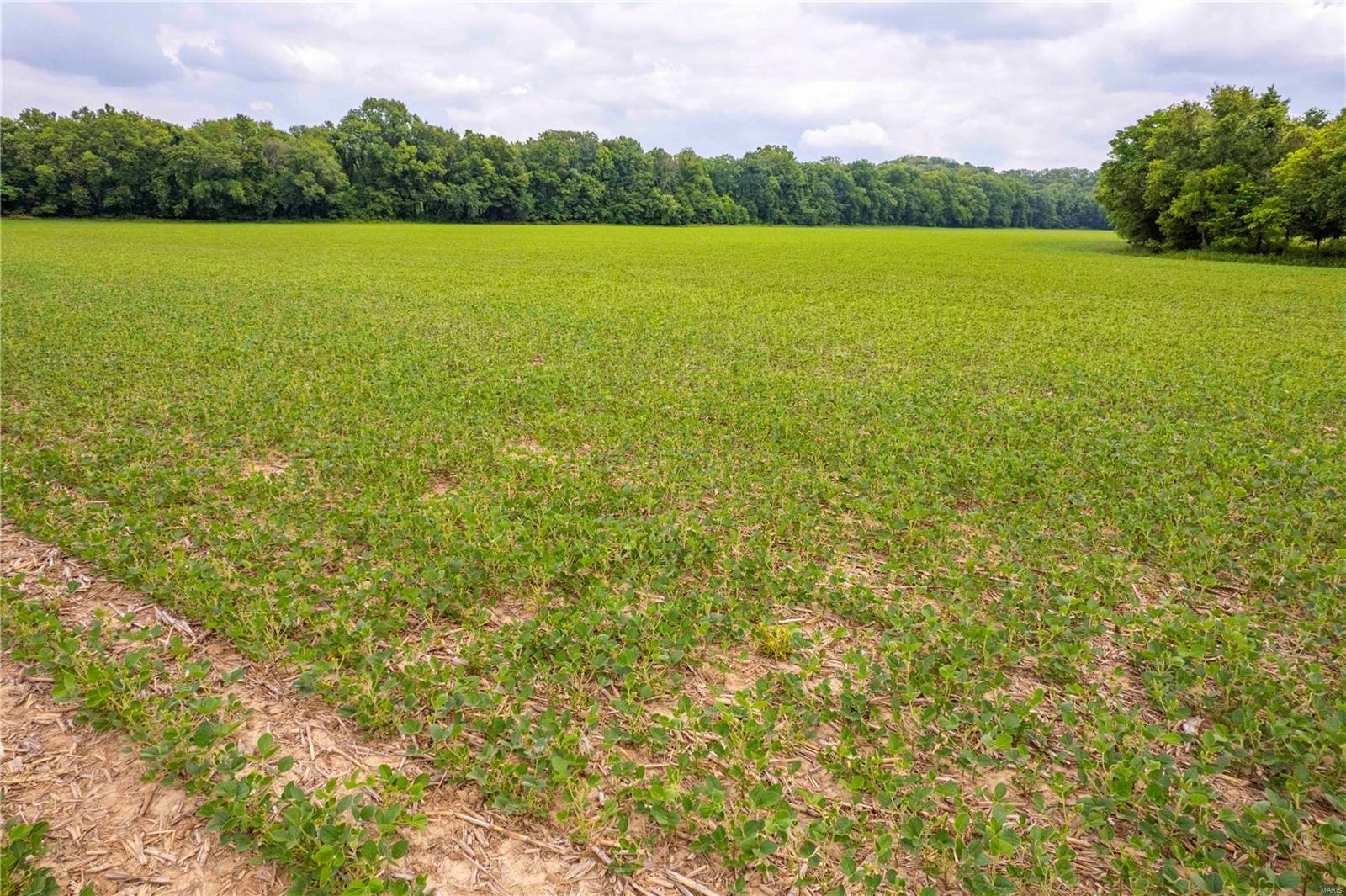 Heritage Meadows - Farm