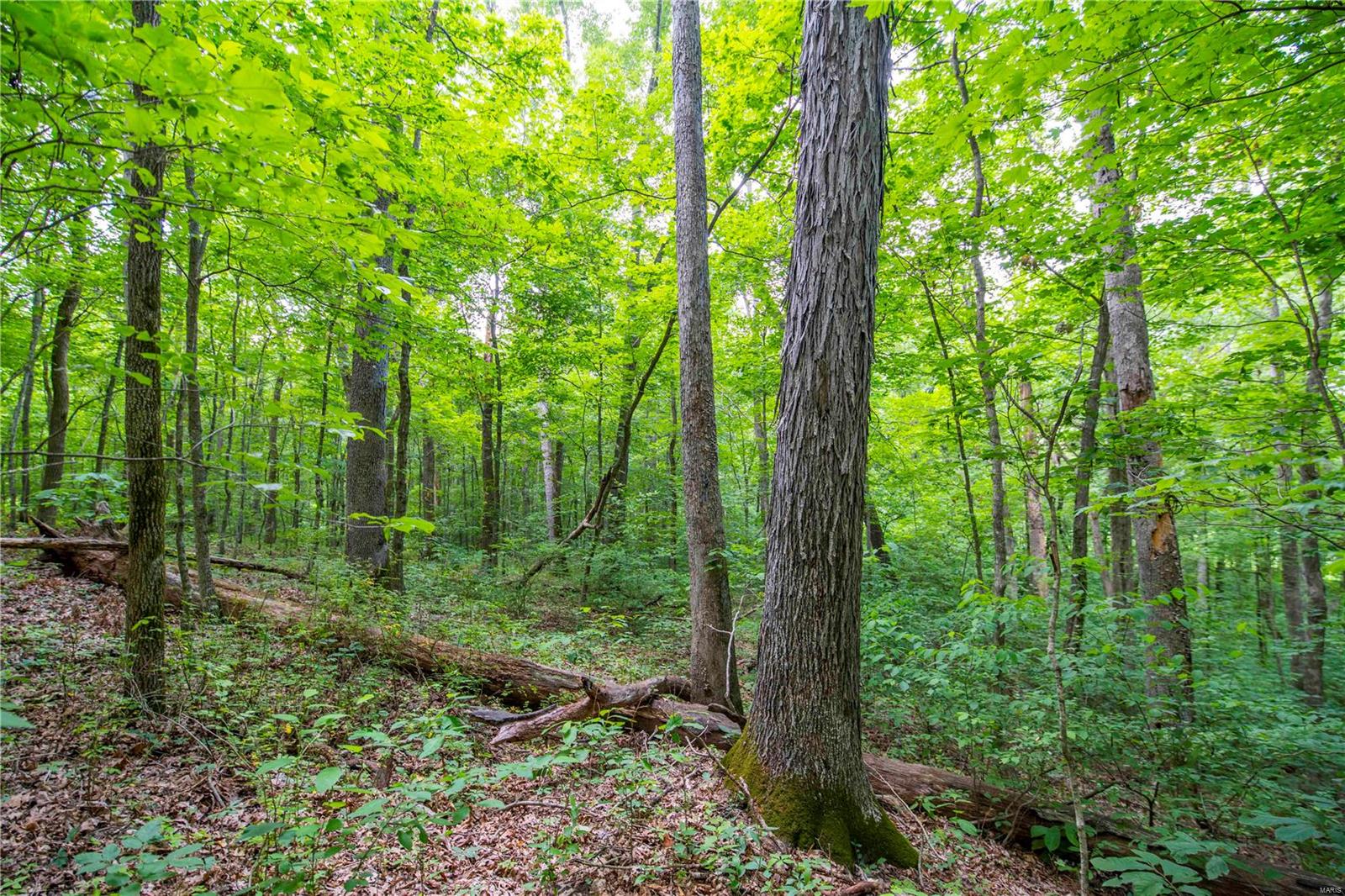 Heritage Meadows - Farm