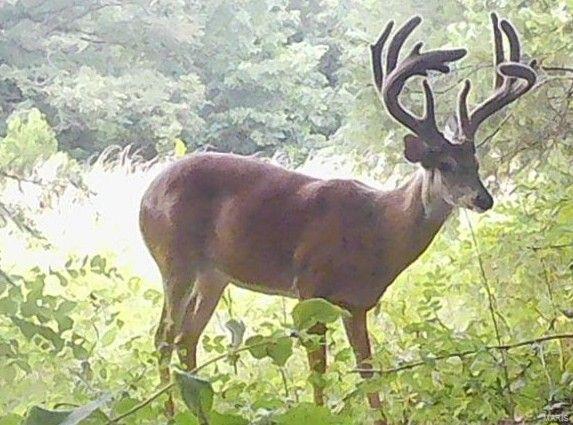 Heritage Meadows - Farm
