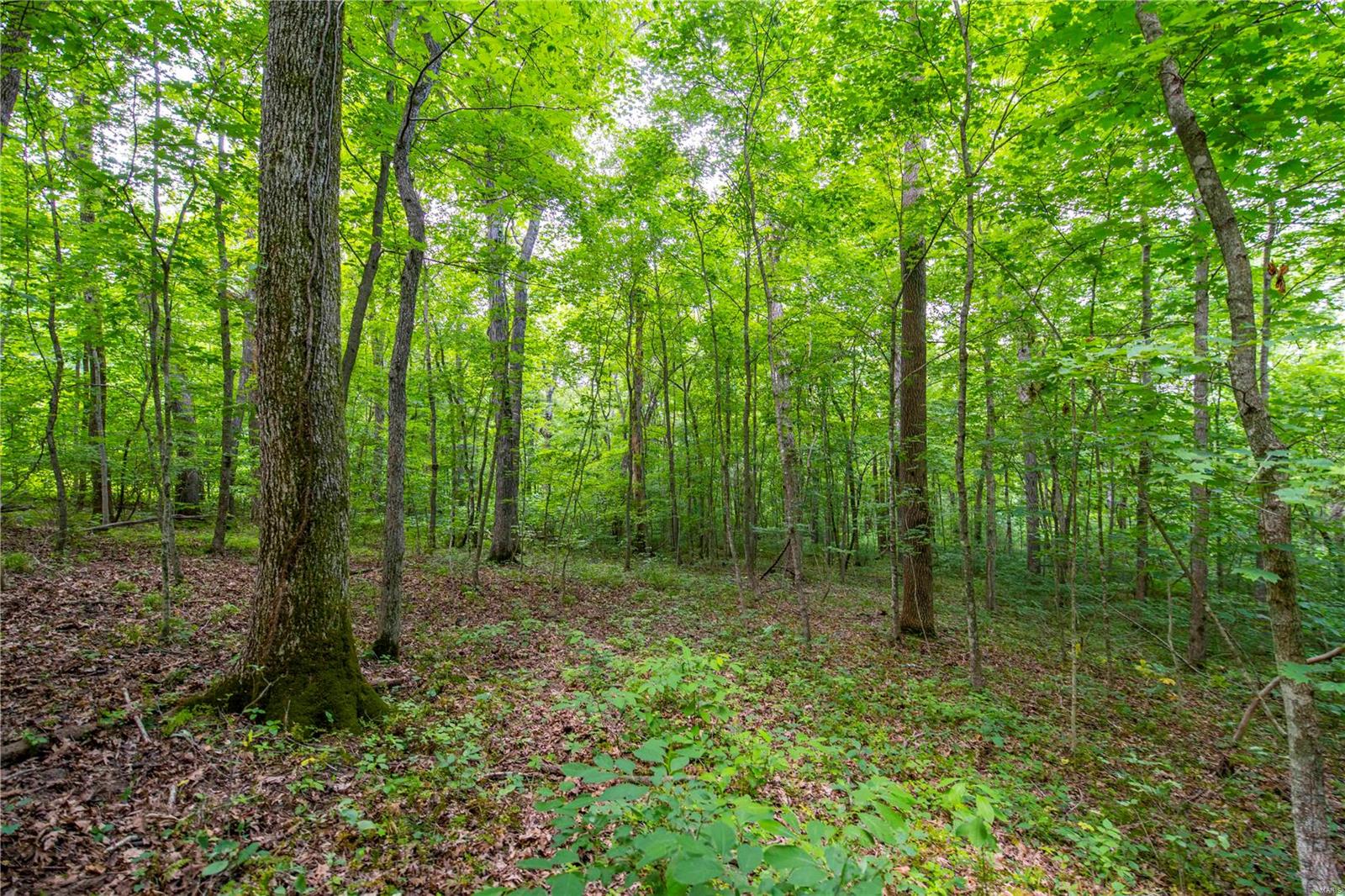 Heritage Meadows - Farm