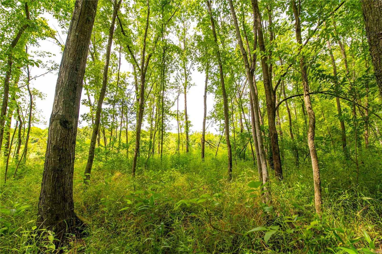 Heritage Meadows - Farm