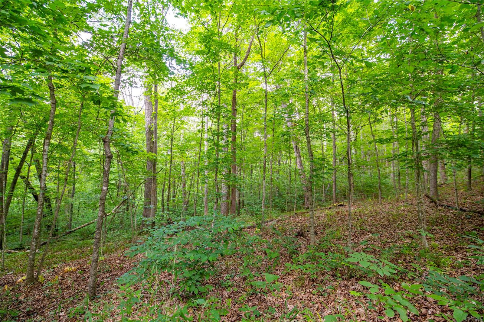 Heritage Meadows - Farm