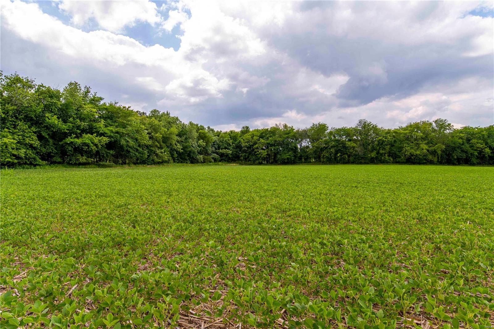 Heritage Meadows - Farm