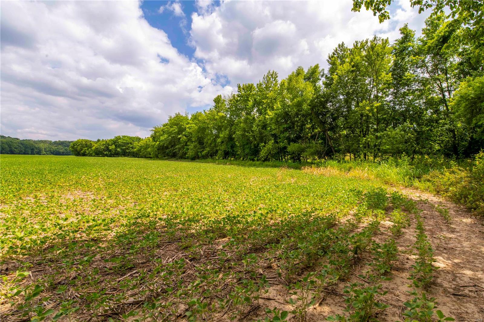 Heritage Meadows - Farm