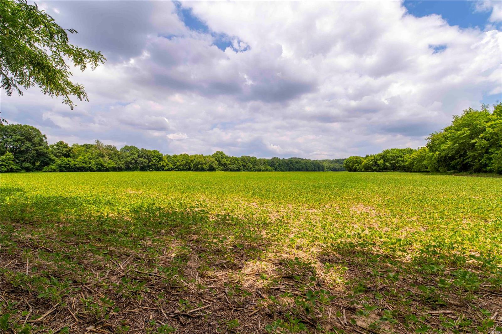 Heritage Meadows - Farm