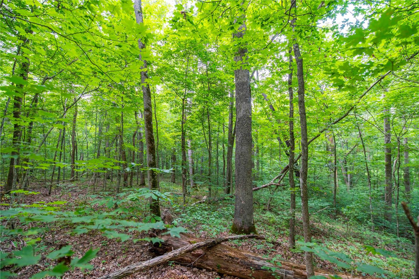 Heritage Meadows - Farm