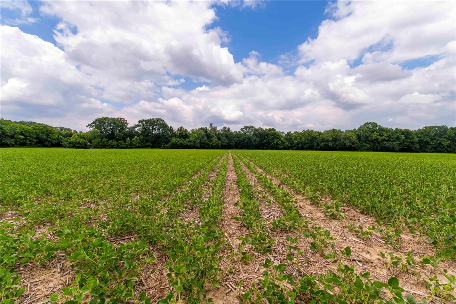 Heritage Meadows - Farm