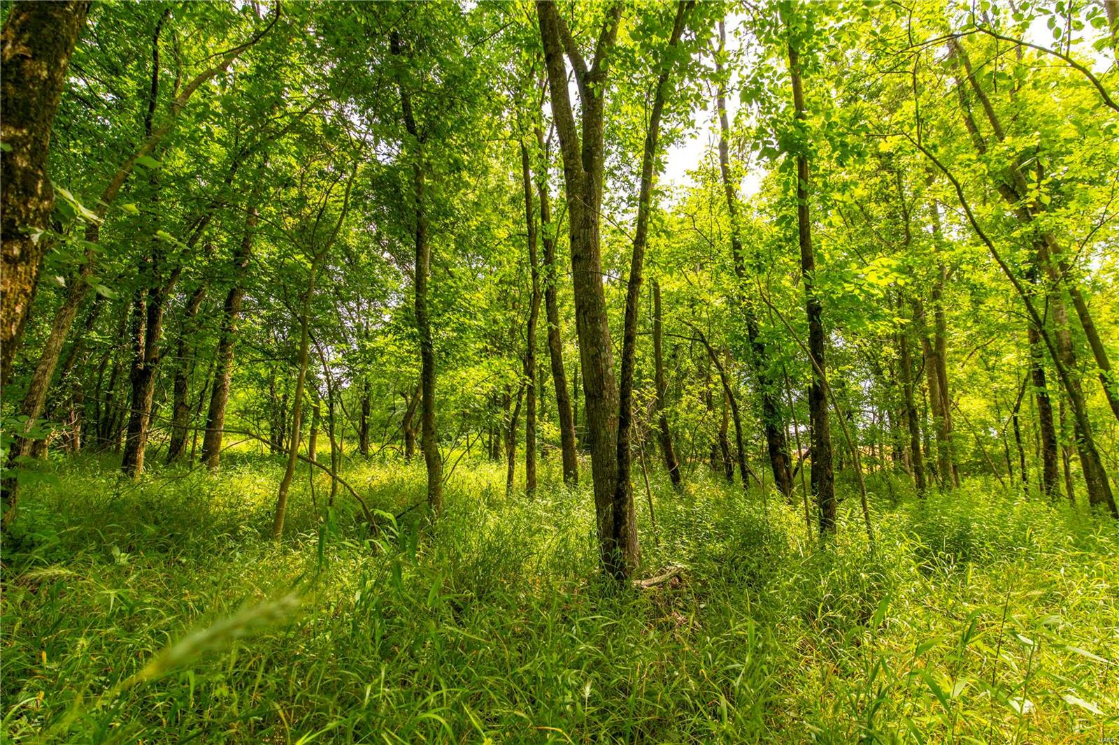 Heritage Meadows - Farm