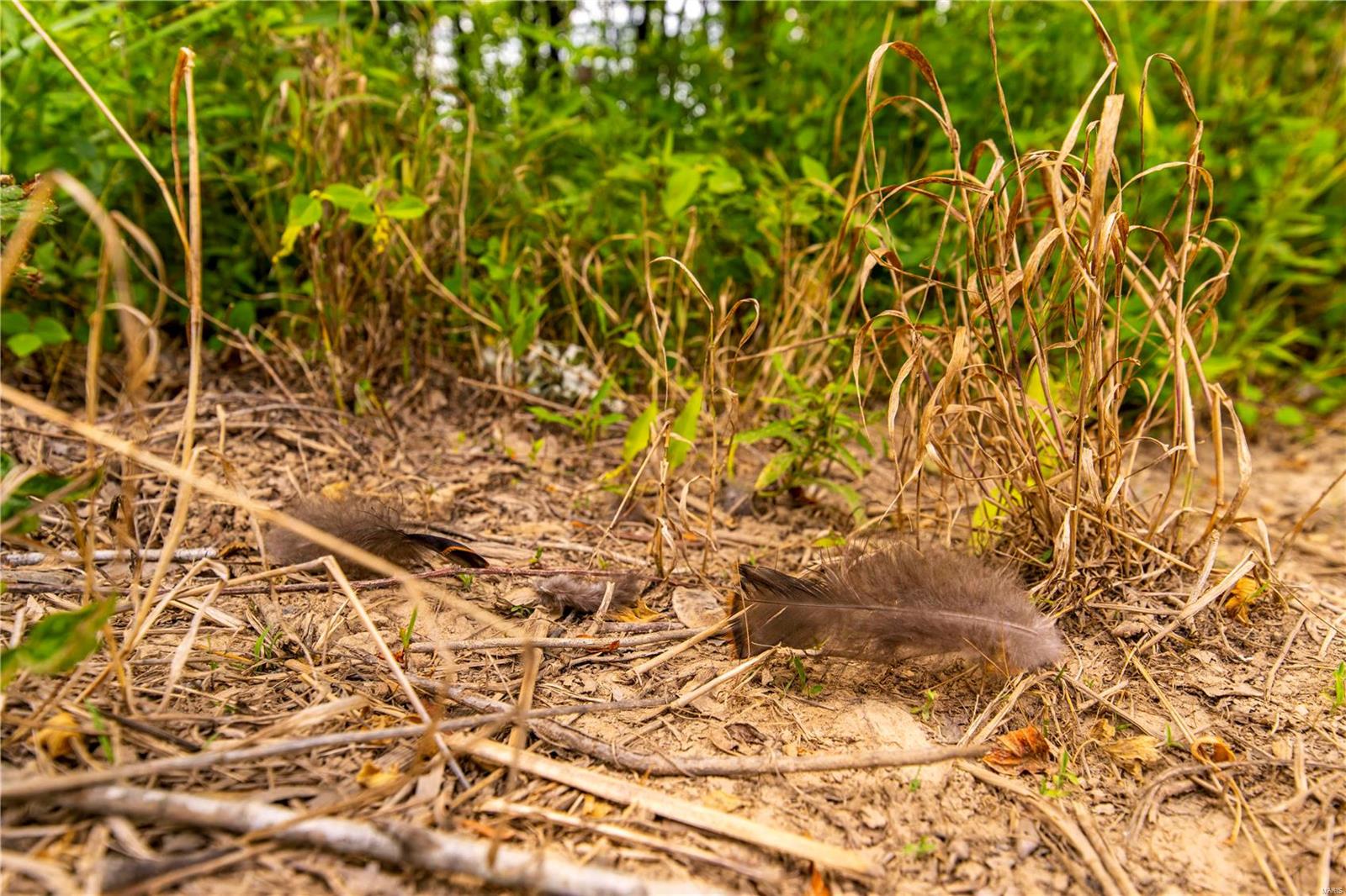 Heritage Meadows - Farm
