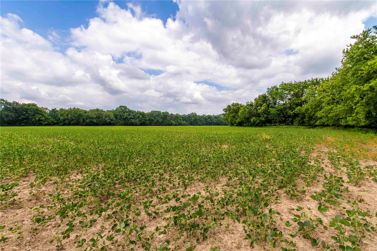 Heritage Meadows - Farm