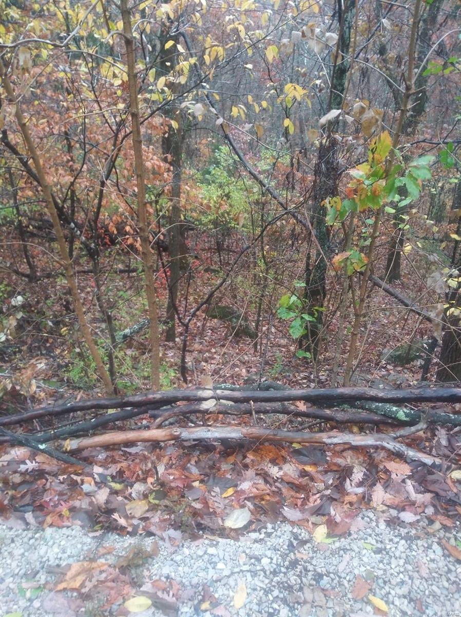 Lake Sherwood Estates - Land