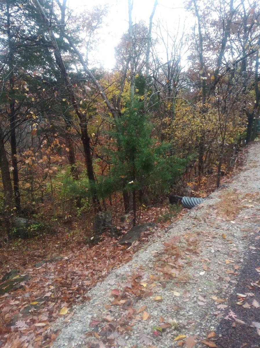 Lake Sherwood Estates - Land