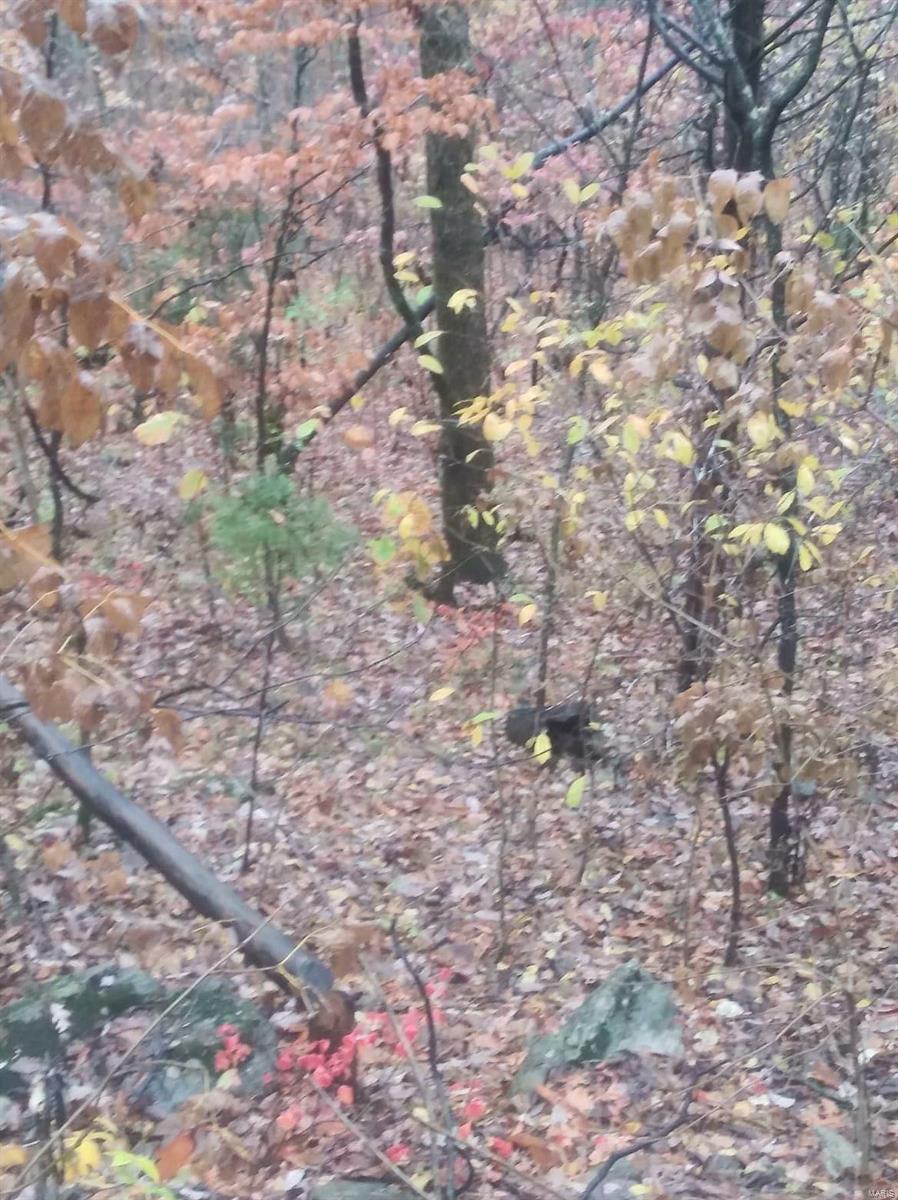 Lake Sherwood Estates - Land