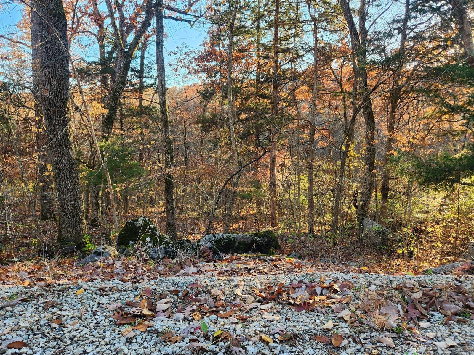 Lake Sherwood Estates - Land