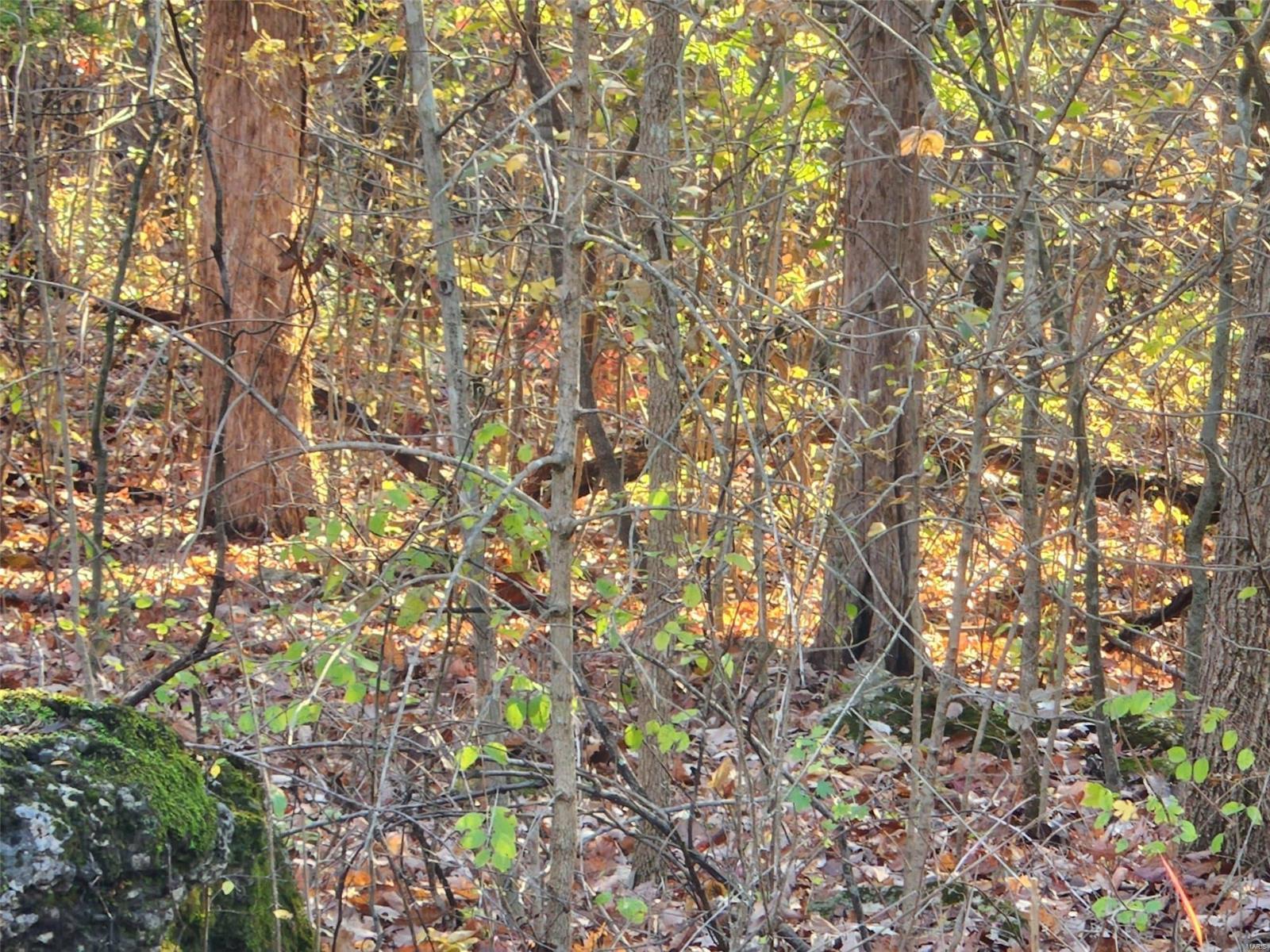 Lake Sherwood Estates - Land