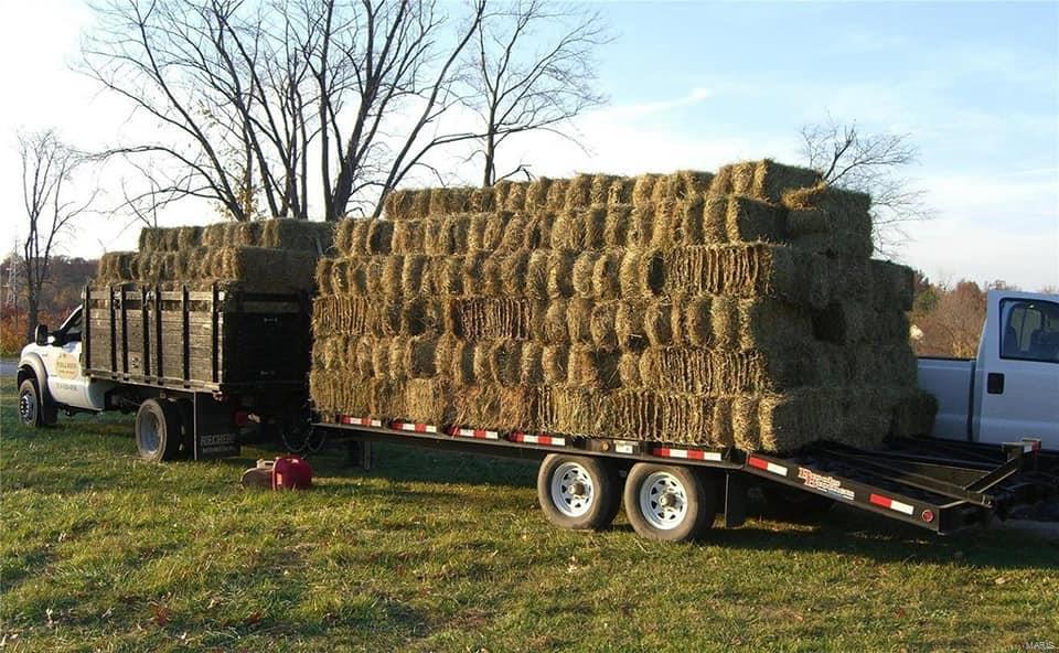 Christian Burkert Estate Ptn - Farm