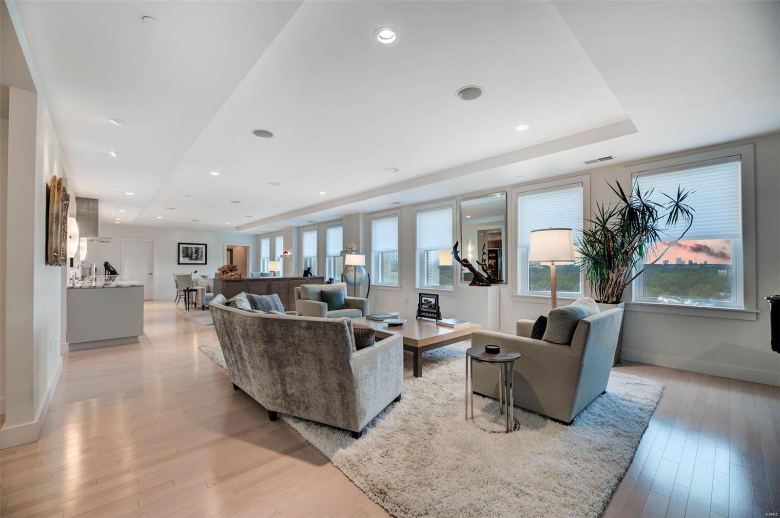 Park Plaza Residential Condo - Residential