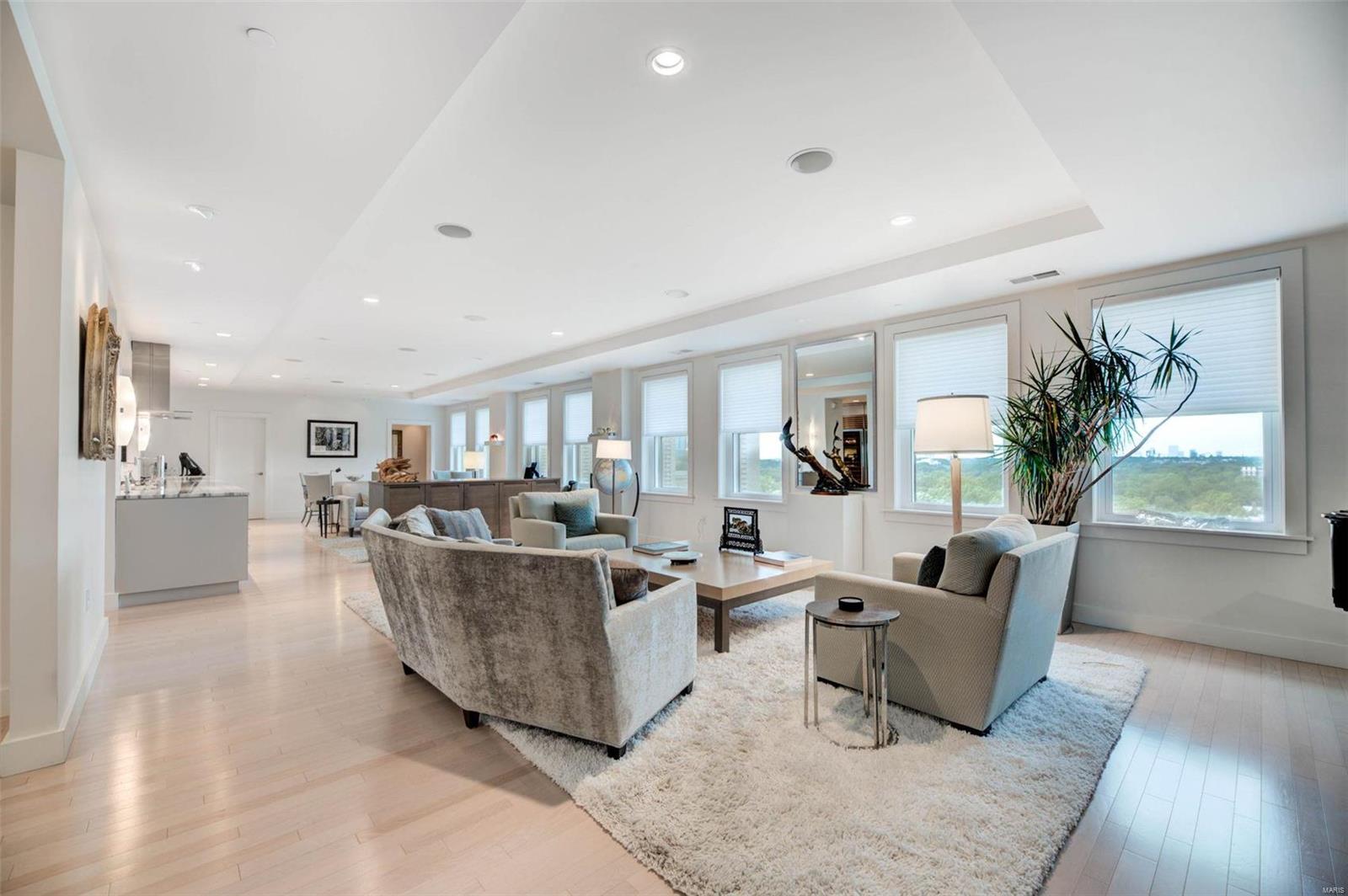 Park Plaza Residential Condo - Residential